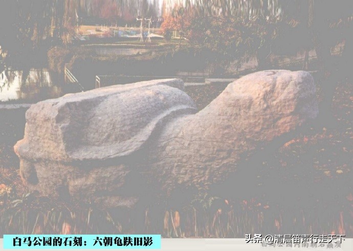 白马公园白马石刻朝代,公园石刻精品欣赏