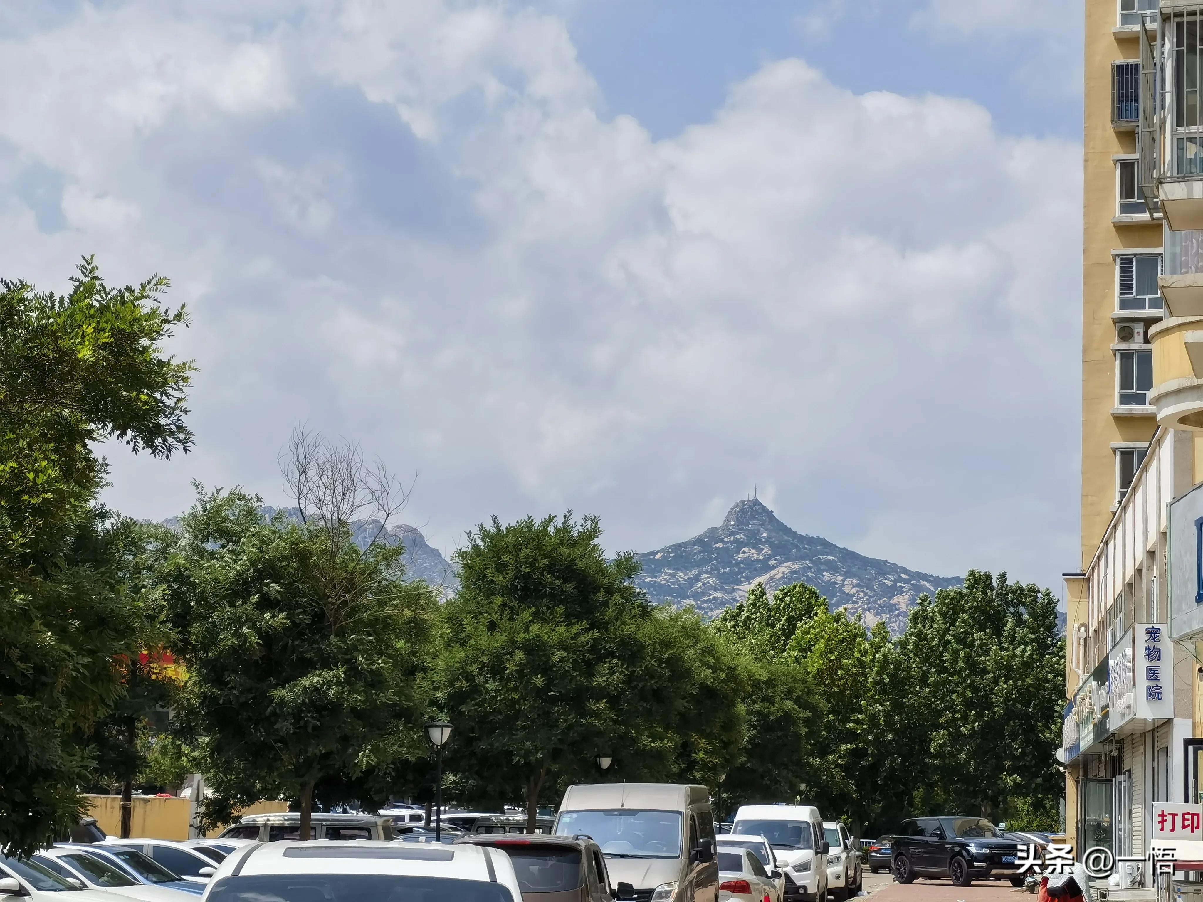 2023上海到秦皇岛承德十日游第四天：看阿那亚的海，逢犬舍的安娜