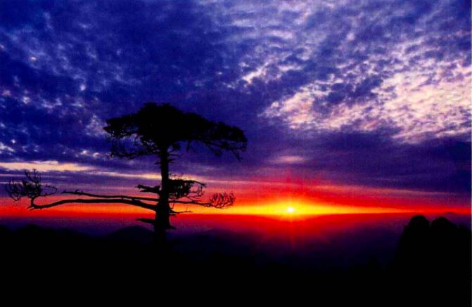 构图元素,构图元素讲解视频教程