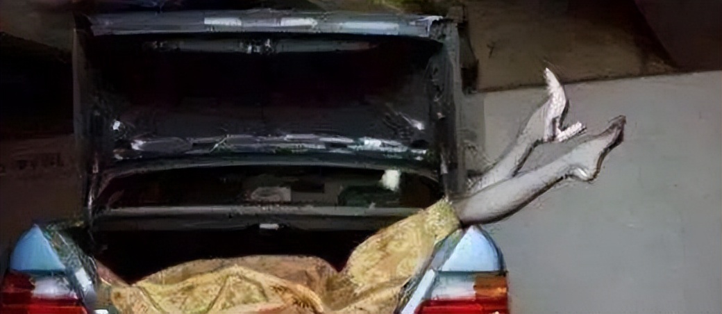 世界十大奇案百科简介,世界十大未解奇案