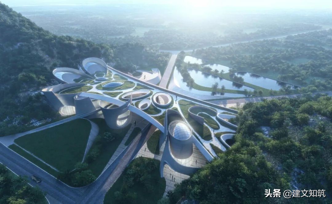 waf2023世锦赛,waf国内排名