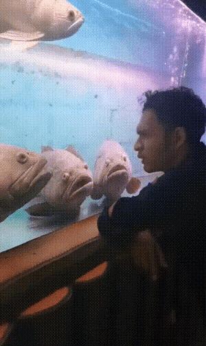 福利就是高清*码无**