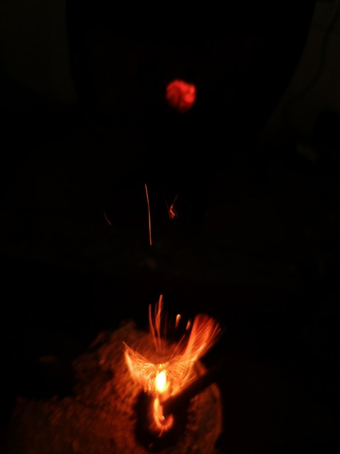 凤凰涅槃读音,凤凰涅盘浴火重生