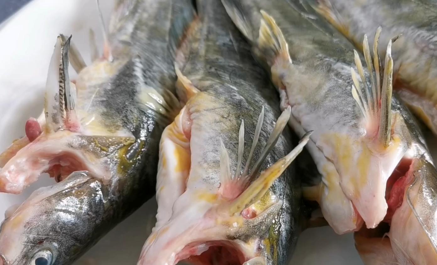 不论炖什么鱼最忌放这2种调料,炖鱼的时候多放什么鱼才能不腥