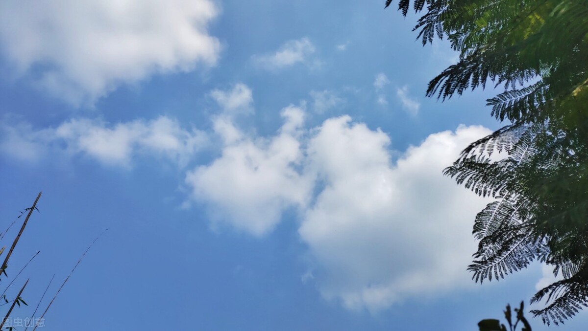 总是过于在意别人想法,过于在意别人想法会成功吗