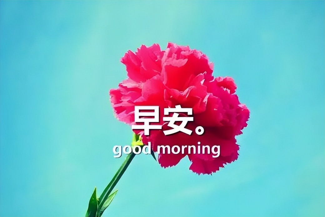 早安正能量励志句子句句精辟,早安正能量满满的句子朋友圈