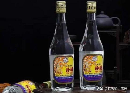 黄盖玻汾和出口汾哪个好喝,玻汾黄盖和红盖价格