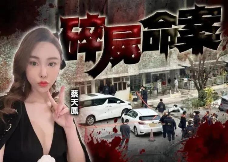 离谱！港媒曝蔡天凤两任丈夫是恋人关系，她只是被利用的工具人