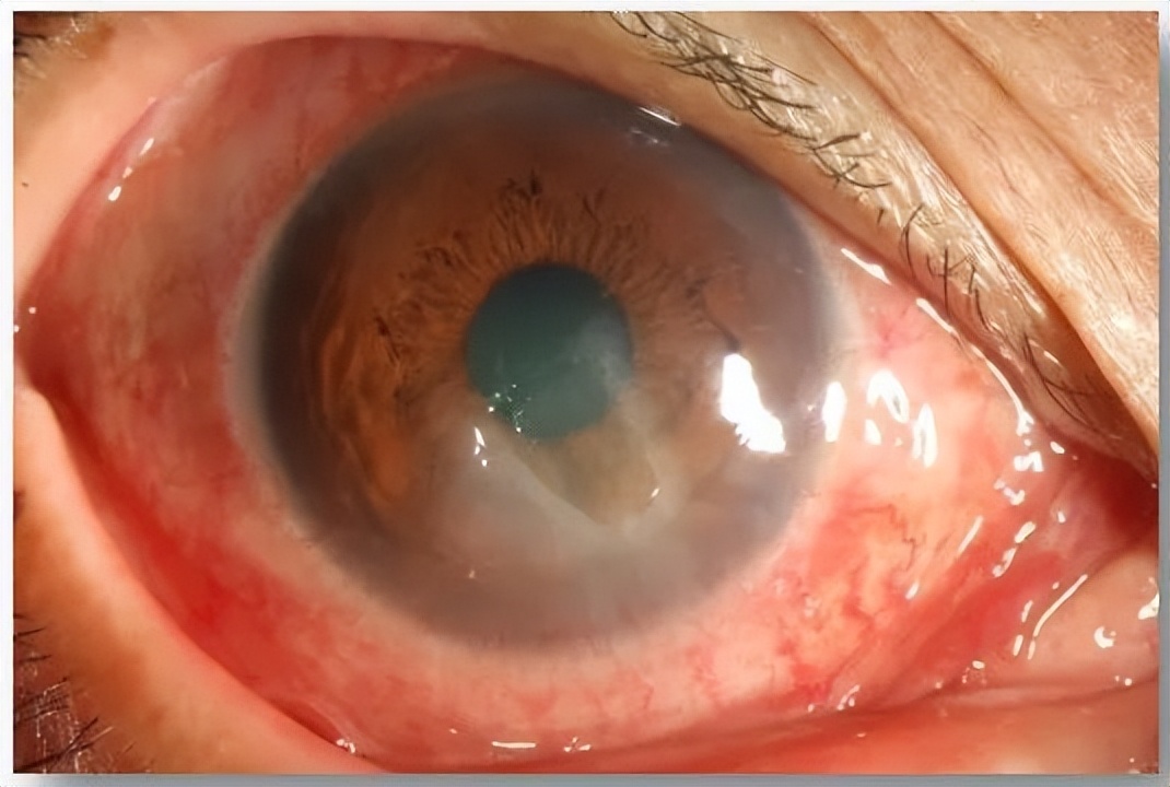 榫氬矚鍖荤敓濂藉悧,鐪肩榫氬矚鏁欐巿