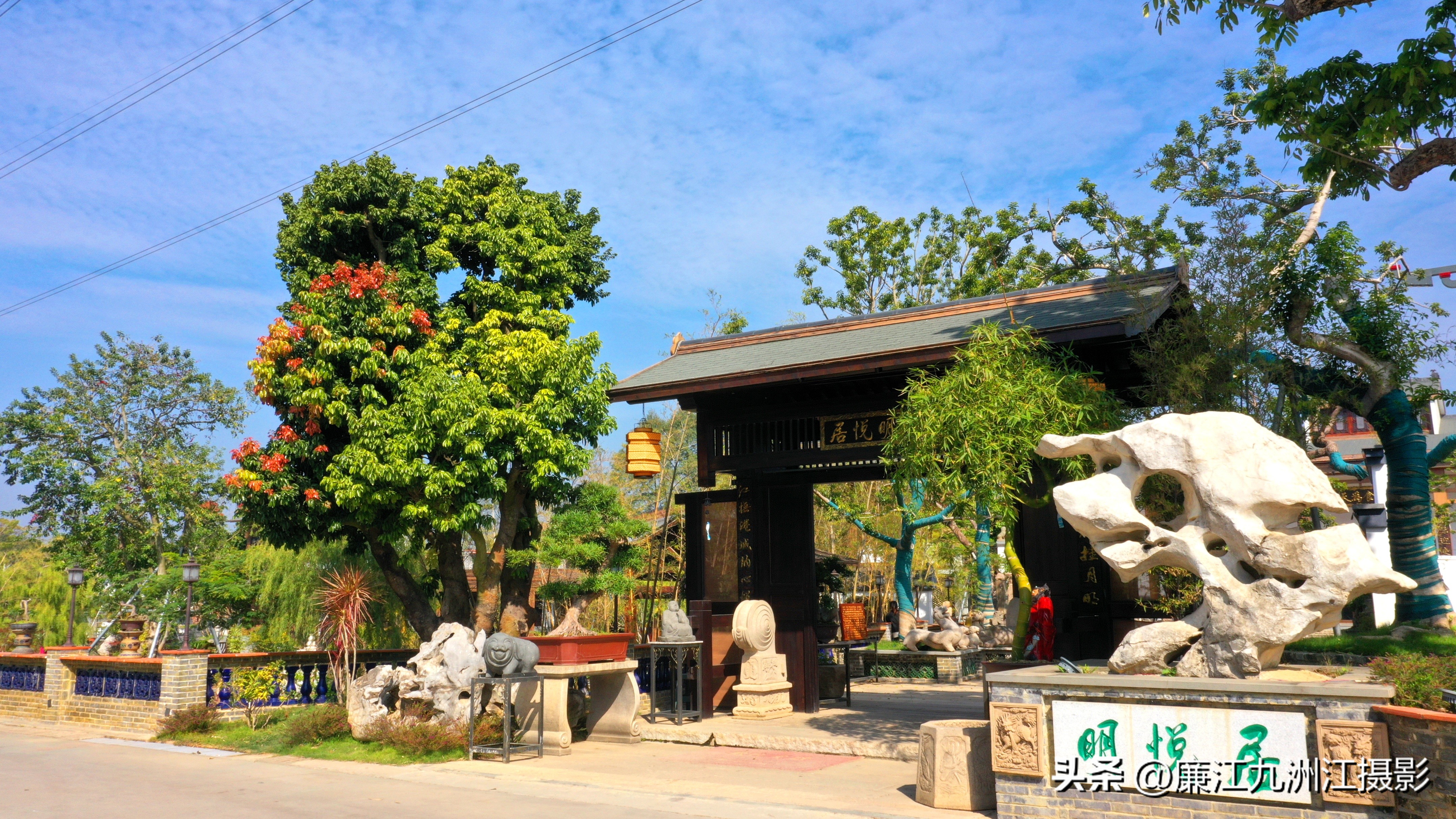 最高端的盆景展,一场惊艳的盆景展