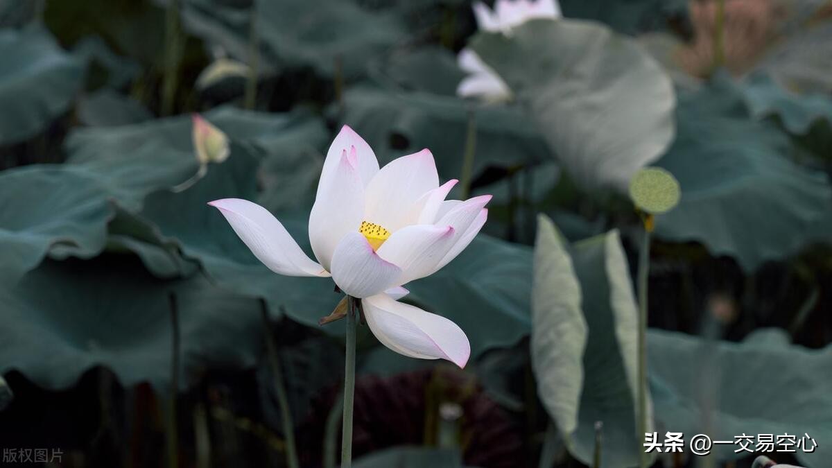 合约止损技巧以及补仓技巧,止盈止损实战高级技巧