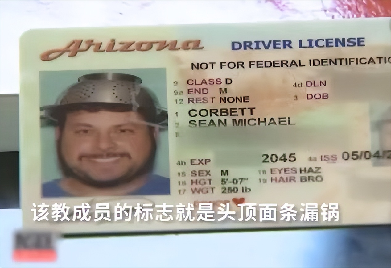 每个铲屎官都应该知道的小妙招,教各位铲屎官一个生活小妙招