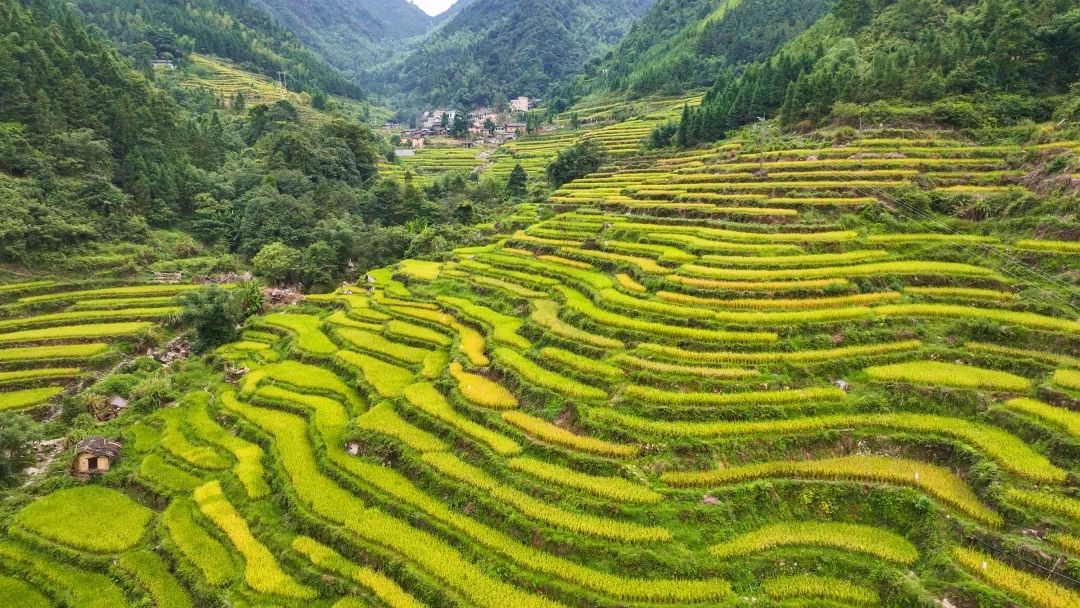 韶关秋天哪里有美景,韶关秋天美景