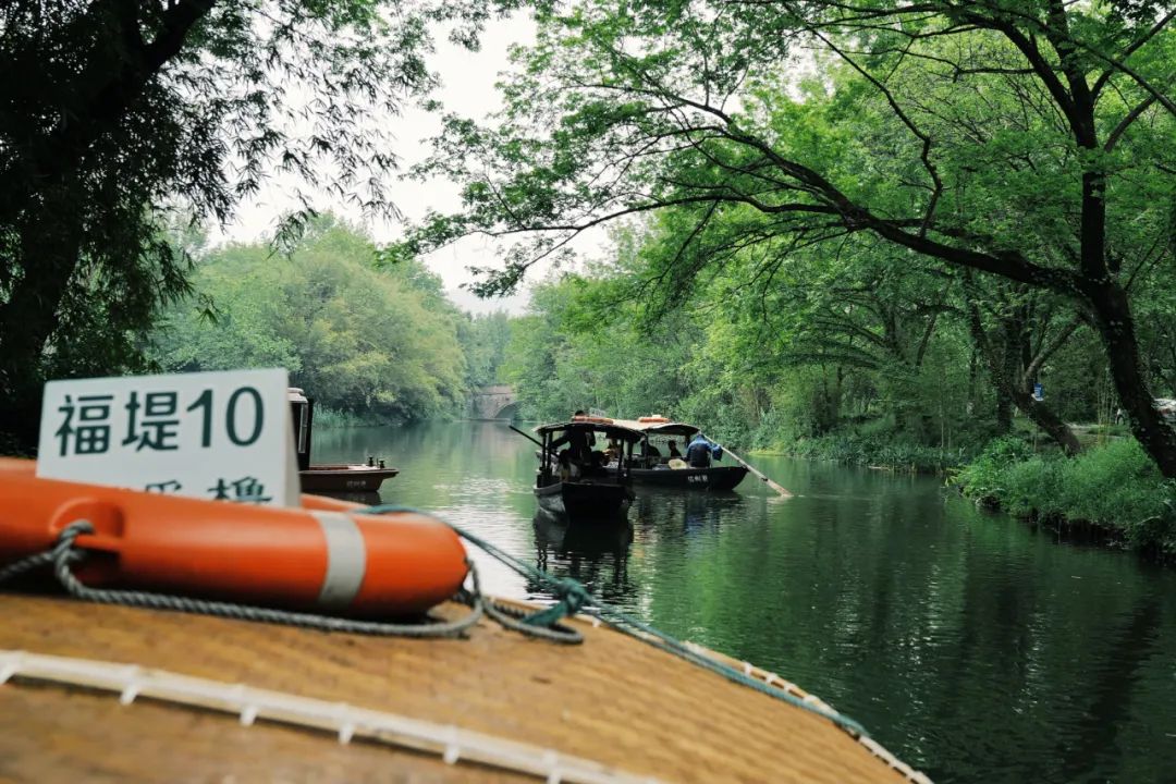 春天的潺潺溪水,春天的顶流