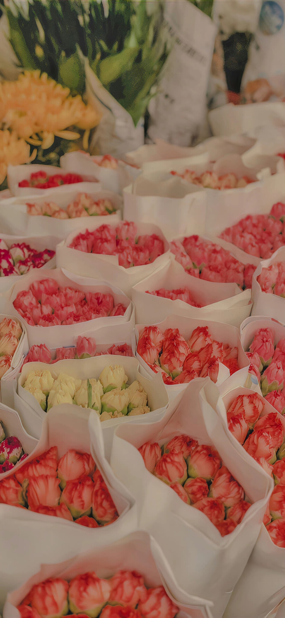 街角花店图片壁纸,花店壁纸图片大全