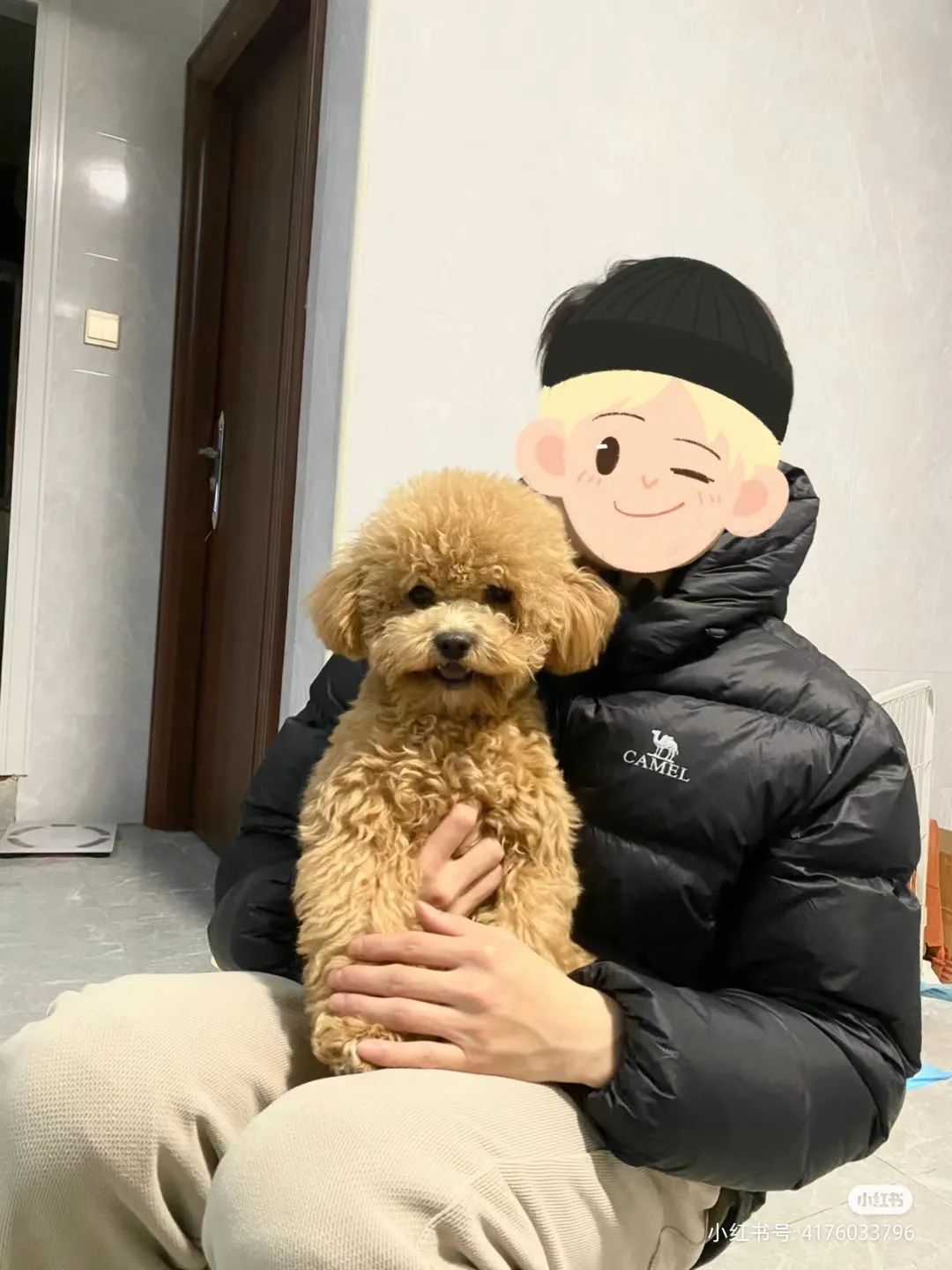 谁懂啊！回南天的养狗人家，惨过住鸡圈！pang臭！