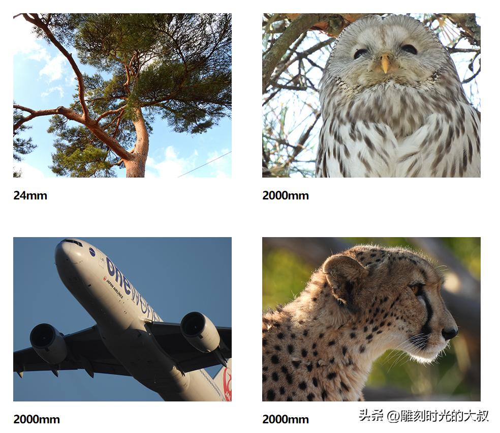 2022年最好的长焦相机是哪一款,2021年最值得购买的长焦相机