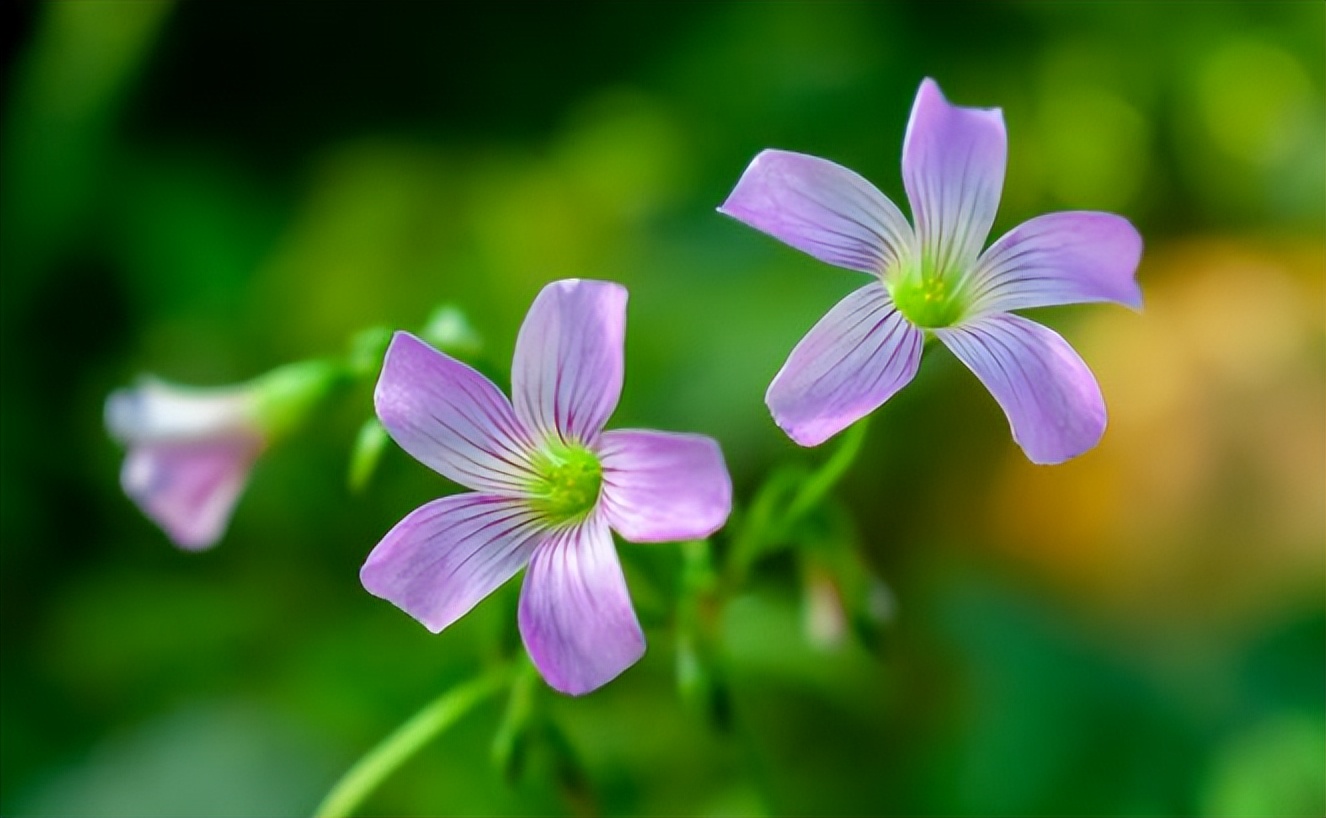人在倒霉前这三件事会变得很顺,人在最倒霉的时候好运慢慢到