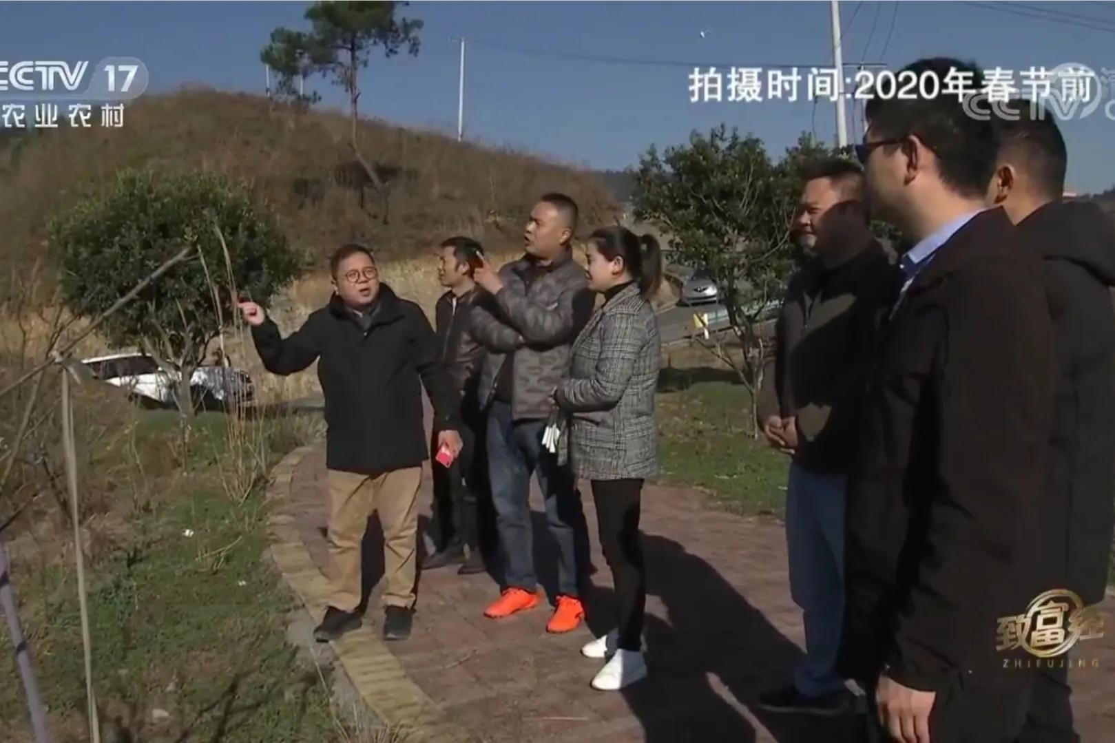 愚公移苍山荒山化作聚宝盆,荒山摇身一变成村民聚宝盆