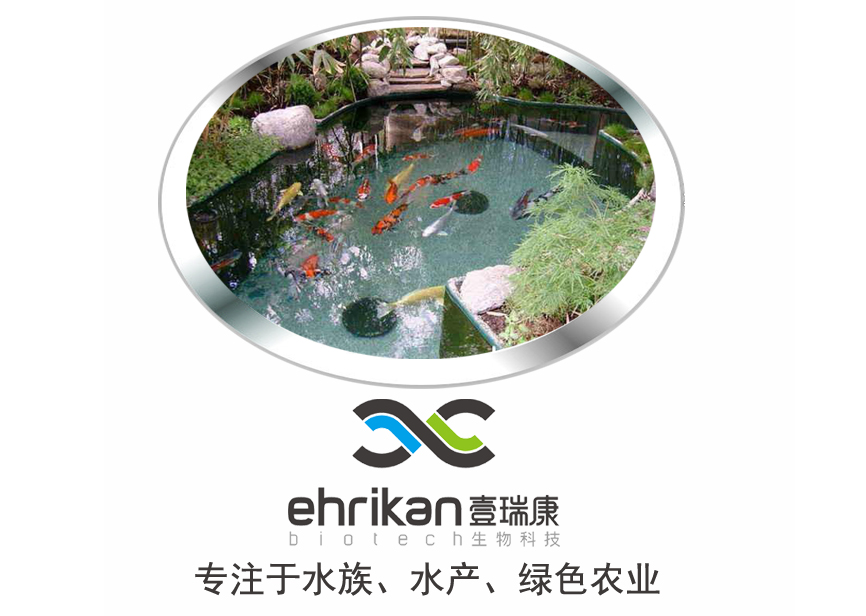 龙鱼病害防治图片,龙鱼常见疾病表现图片