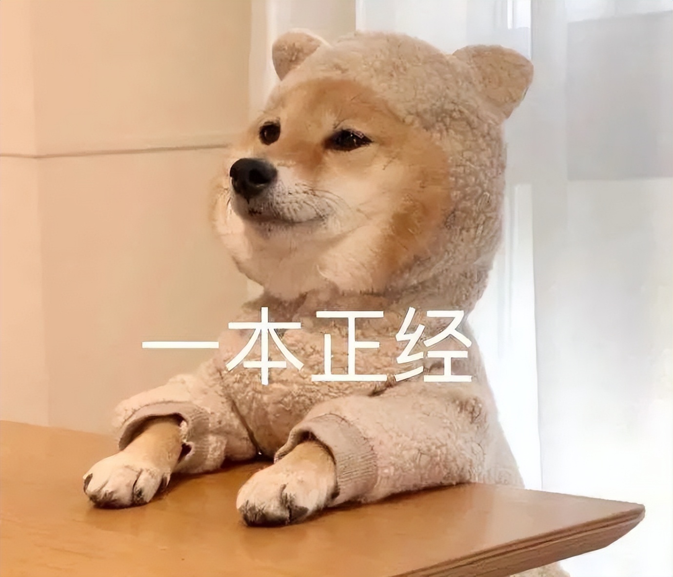 世界杯冠军首场翻车,世界杯输球过程