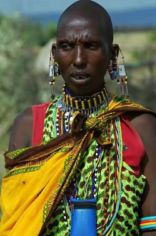 山海经2012白话全译彩图版pdf,山海经海外西经是指哪里