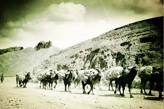 旅蒙商号大盛魁(十一)—大盛魁的营业状况(丁)皮毛药材(上)