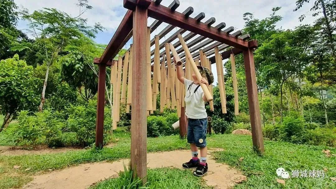 新加坡遛娃免费景点推荐一下,新加坡周末遛娃