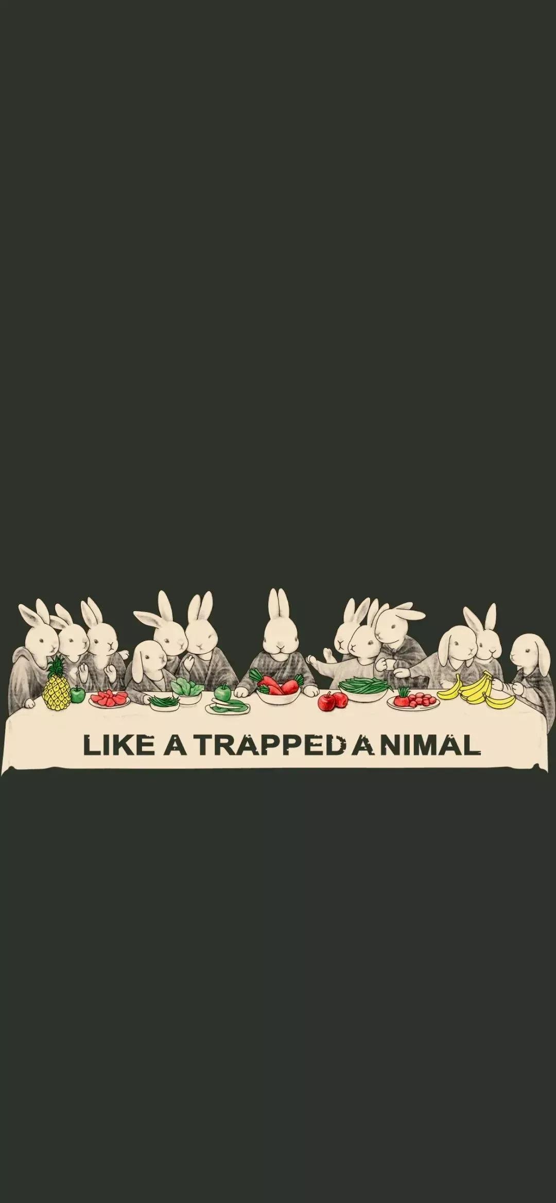 高清壁纸图片全屏干净高级,男士专用黑色美女全屏壁纸