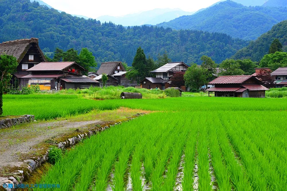 华高莱斯丨农业逆袭新思维——“粮袋子”如何变成“钱袋子”？