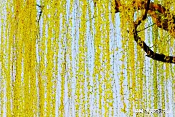 小小说：真是病得不轻