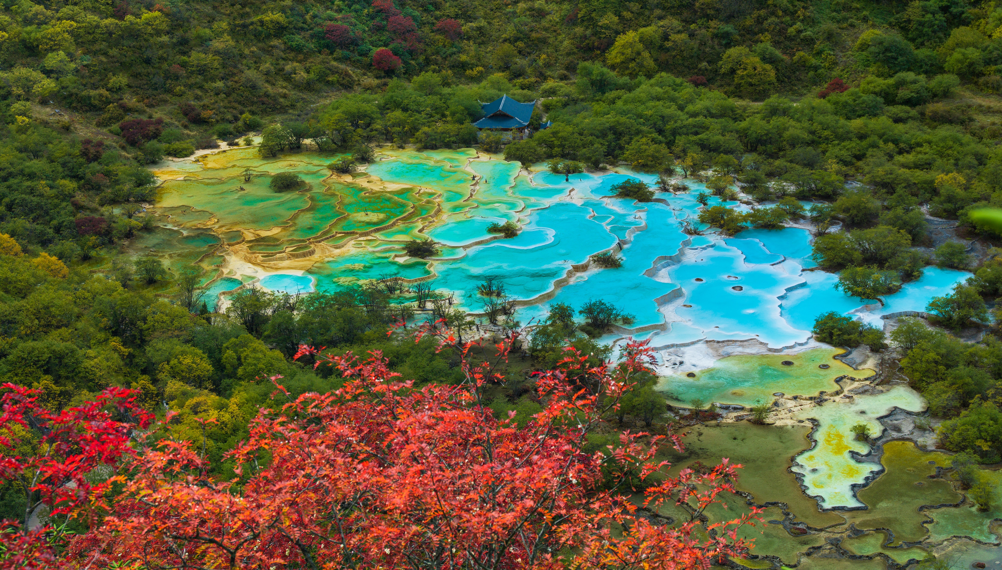 519国际旅游日浙江免费景区,记录旅游黄龙留下美好回忆