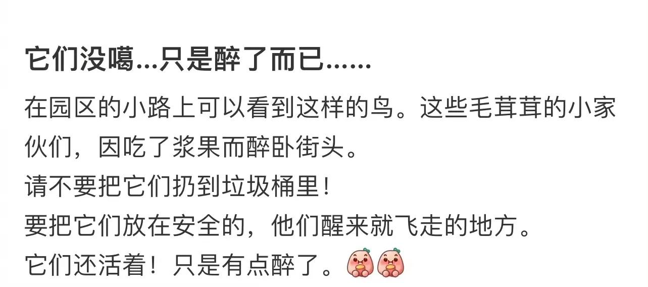 沙雕穿搭推荐,沙雕的穿搭