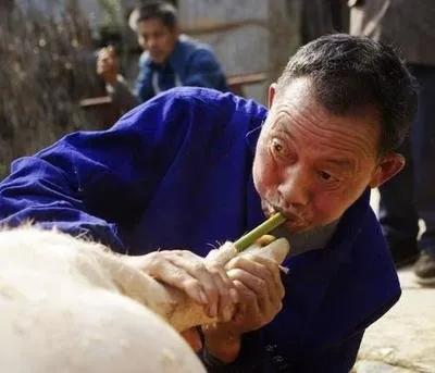 杀年猪的经典文章,杀年猪散文诗