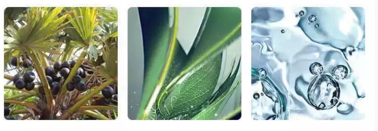 vidivici蚕丝美白保湿洗面奶,vidivici洗面奶和香奈儿洗面奶