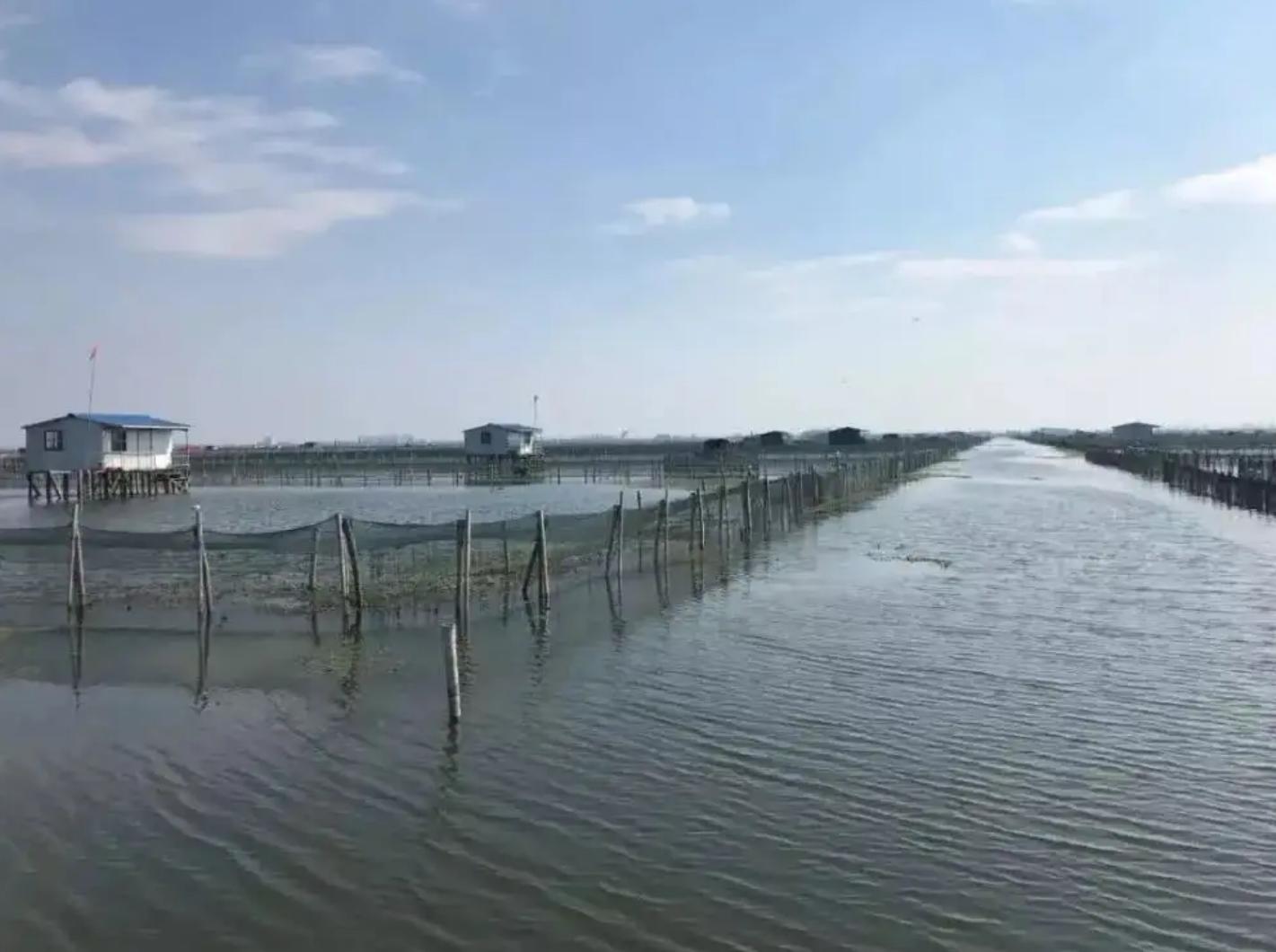 小螃蟹变身抢手货，小虫子变为致富法宝，男子年销8000万