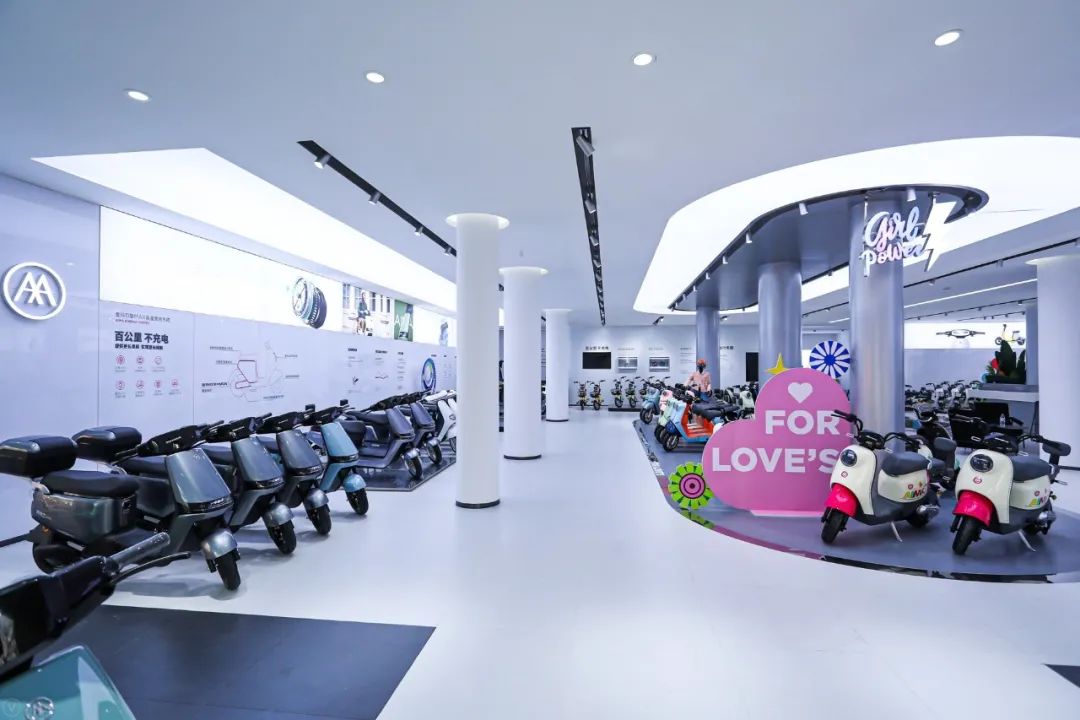 爱玛科技一季度报,爱玛科技财报分析