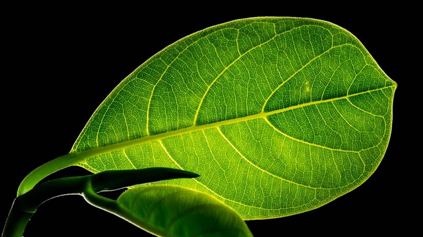 睡眠模式怎样定两个闹钟,睡眠状况可以设置2个闹钟吗