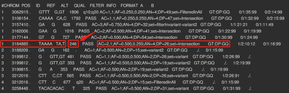 多个vcf怎么合并一个文件,合并vcf