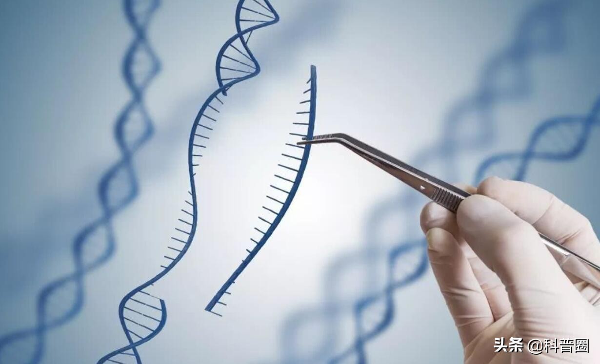 狐臭是怎么产生的？科学证实：有狐臭正常，没狐臭才是“变异者”