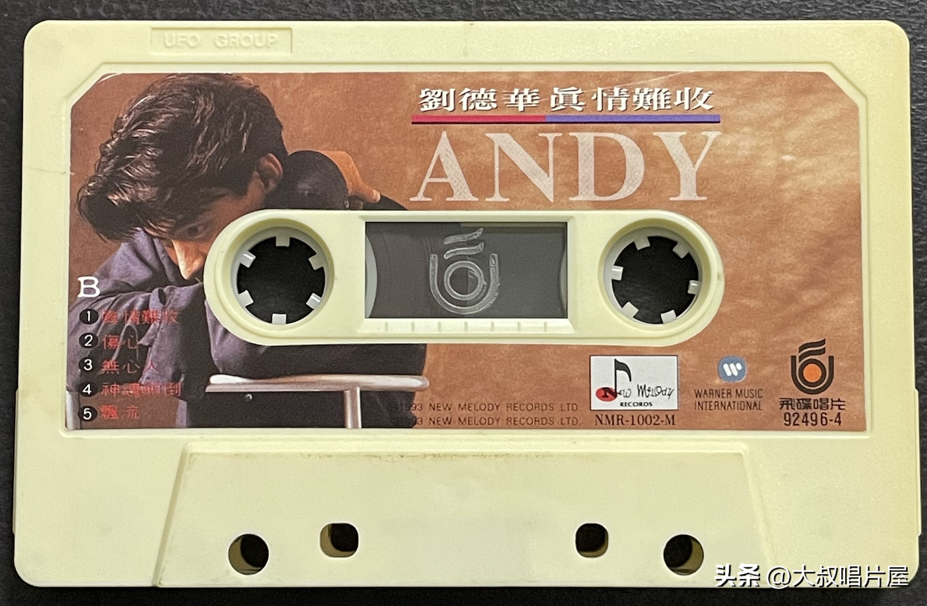 1993年中国神曲,1993年华语乐坛神曲大爆发