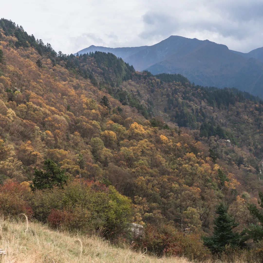 太白山是陕西最高点吗,秦岭最高峰太白山