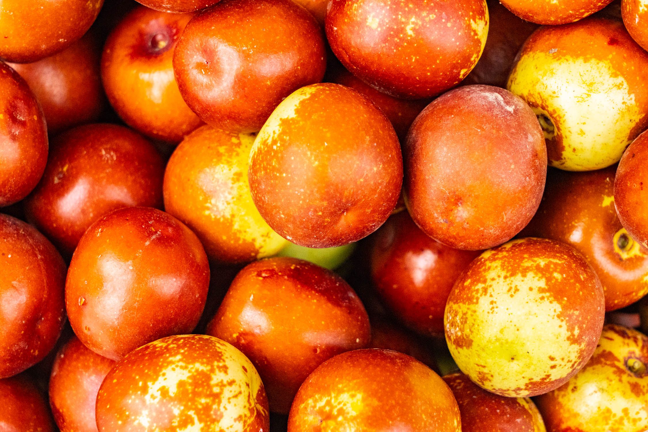 沾化冬枣水果之王,冬枣排名第一的水果