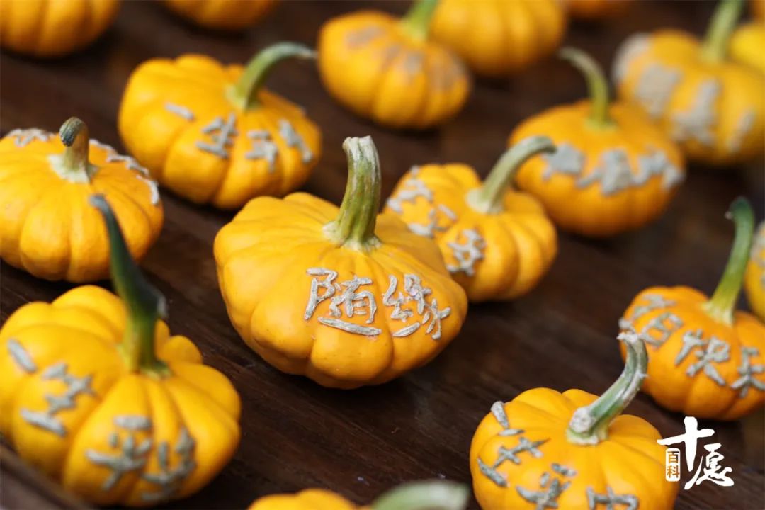 信佛一定要吃净口素吗,信佛必须就不能吃肉了吗