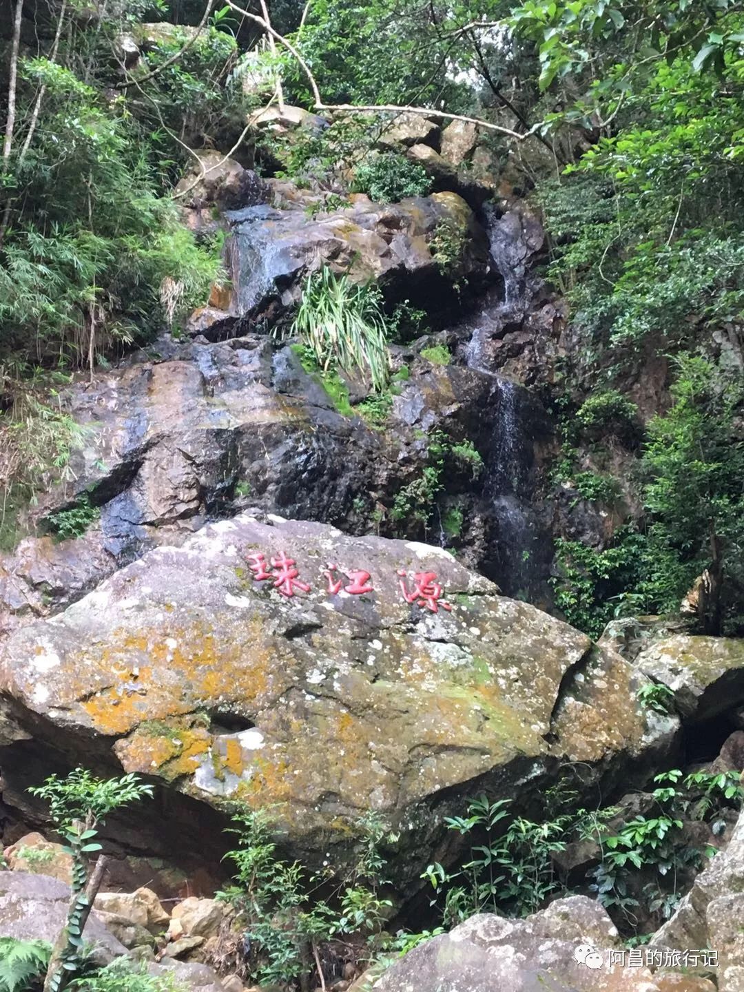 广西十万大山国家森林公园,广西十万大山国家森林公园图片