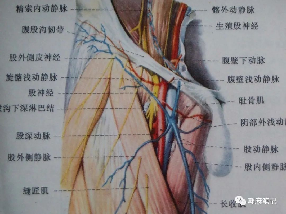 中心静脉穿刺置管术ppt免费,中心静脉置管的护理ppt