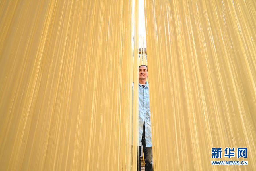 辛巴助力探索扶贫助农新路子,辛巴辛有志公益助农助力乡村振兴