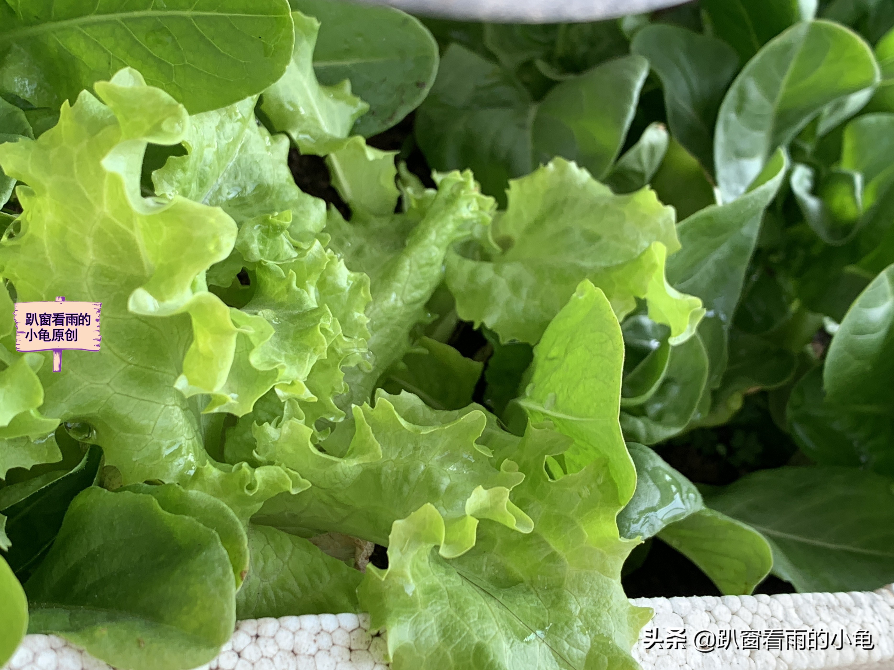 家有余粮，遇事不慌！收好10种生活必要的物资，这3件事也做起来