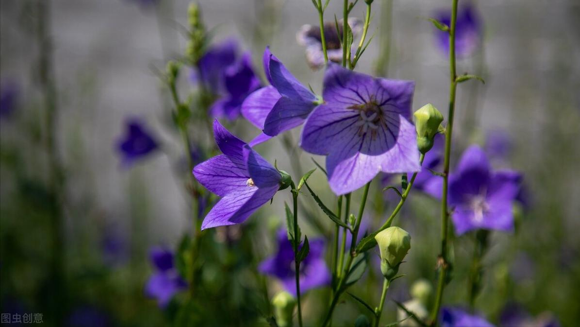 做好一名销售必须具备的几要素,如何做好一名业务销售