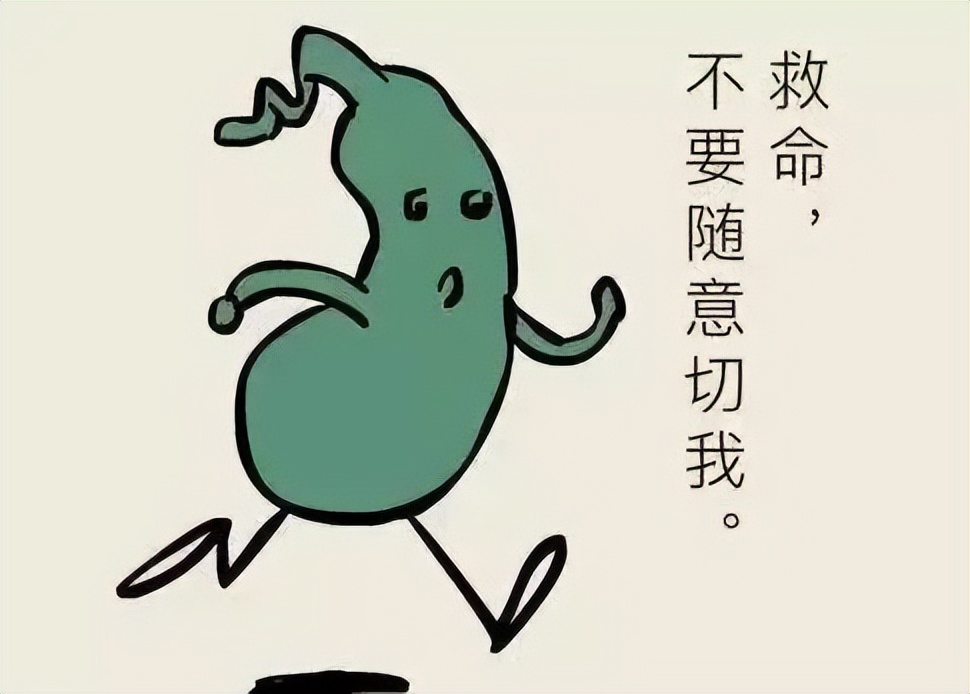 胆结石指南2022,胆结石诊疗指南最新版